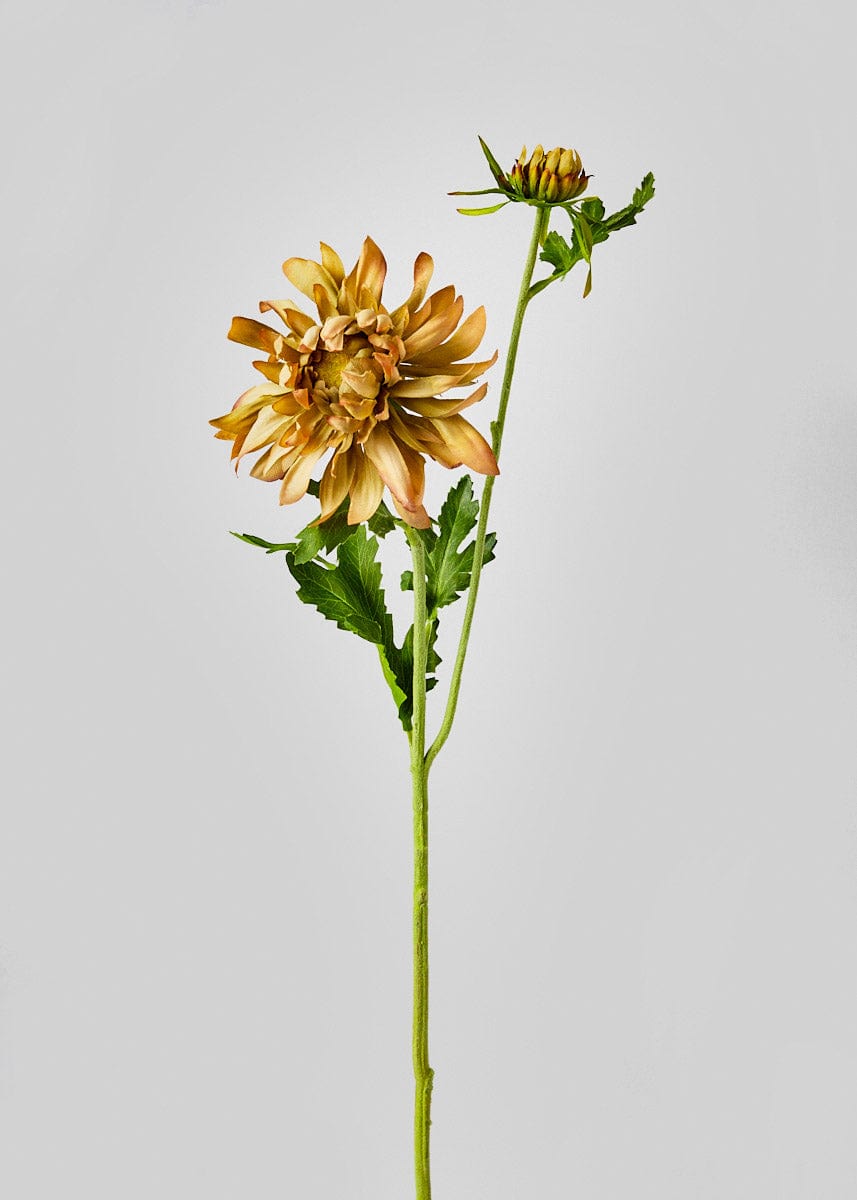 Flower Stem 