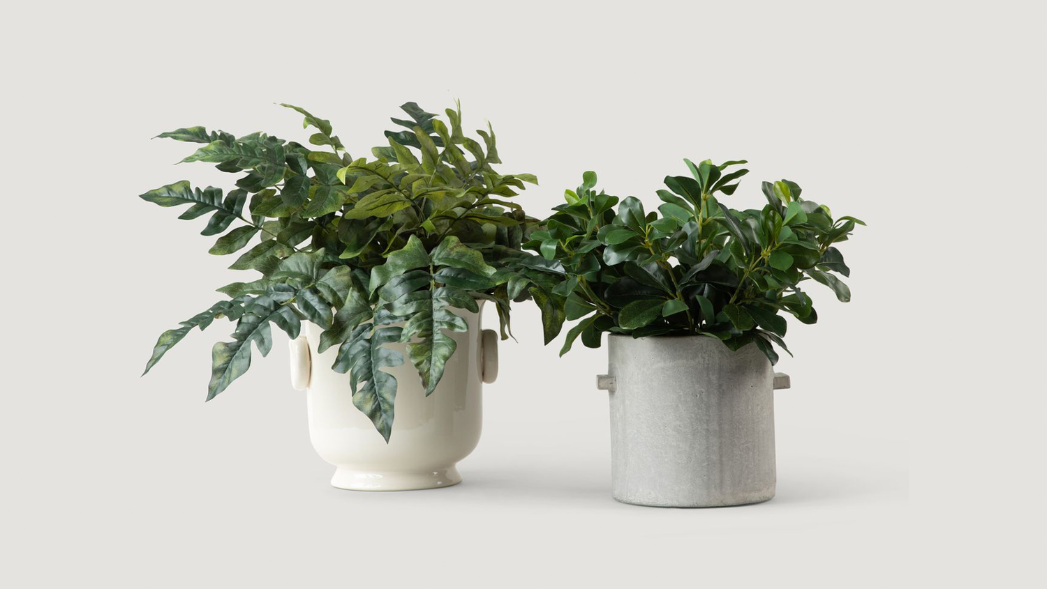 Matching The Right Pot with The Right Fake Plant | Afloral