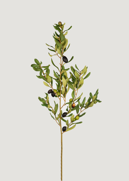 Tall Olive Tree Branch | Best Artificial Branches at Afloral.com
