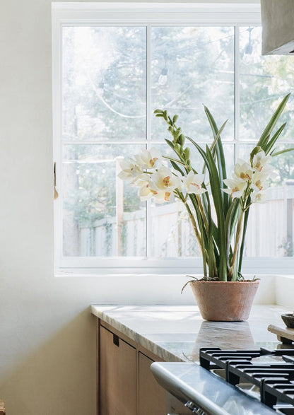 Afloral Faux Cymbidium Potted Orchids in Kitchen