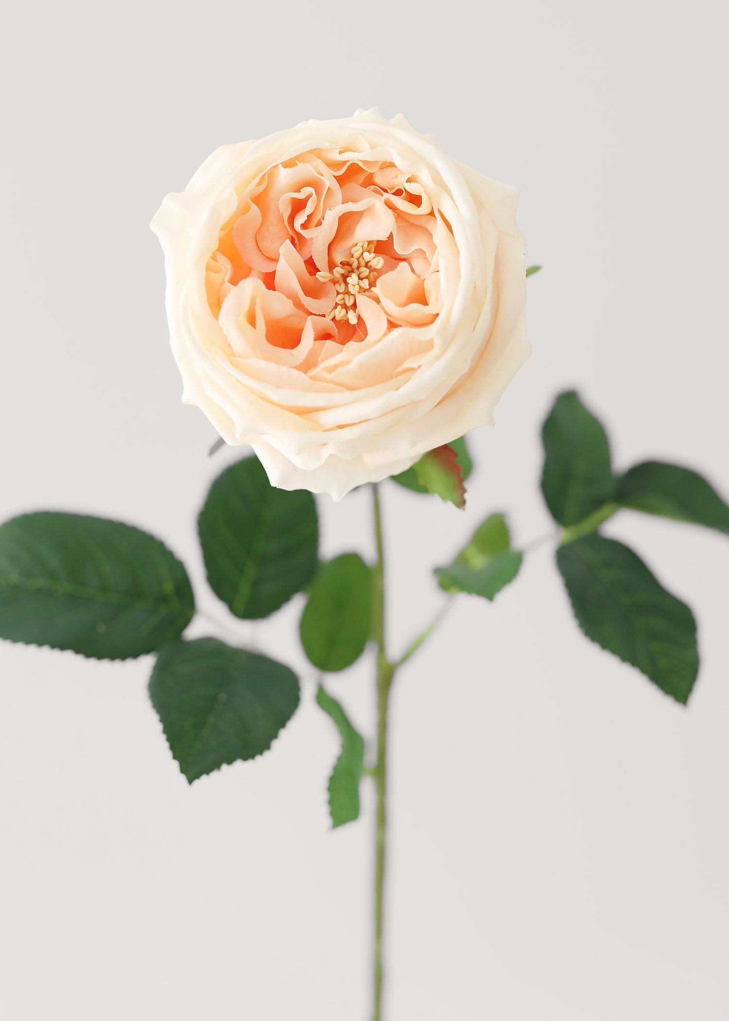 Peach Real Touch Rose Artificial Flower