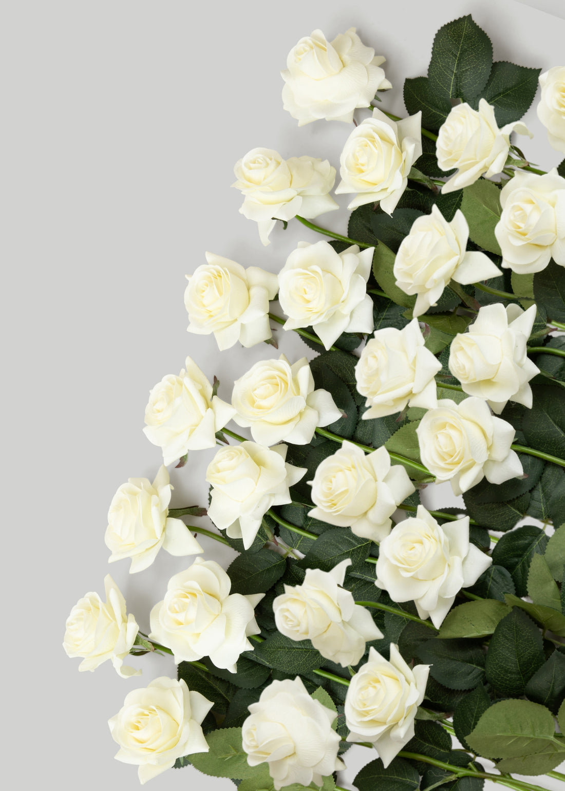 Real Touch Rose in Case of 48 Stems