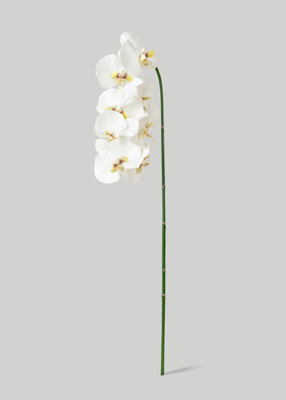 Artificial Orchid in White