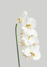 Faux-Real Orchid Stem