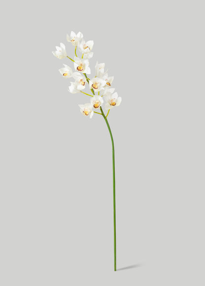 Faux-Real Cymbidium Orchid in Cream