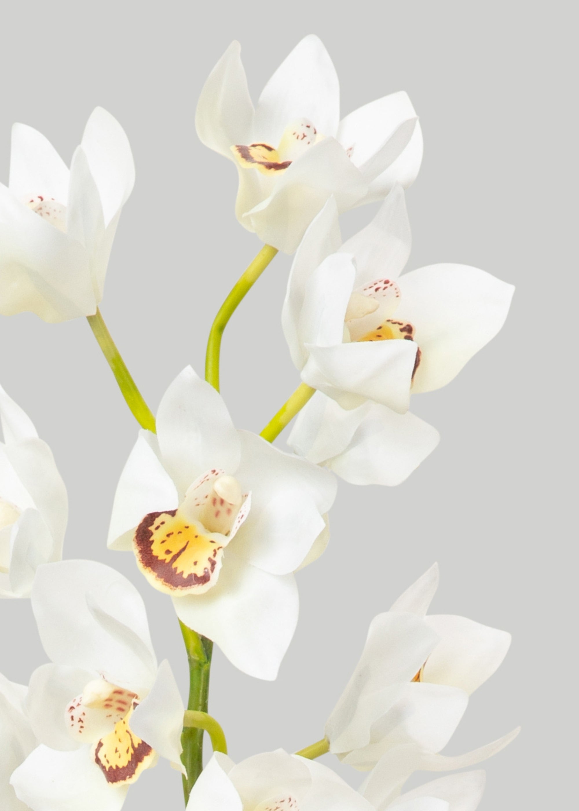 Artificial Cymbidium Orchid