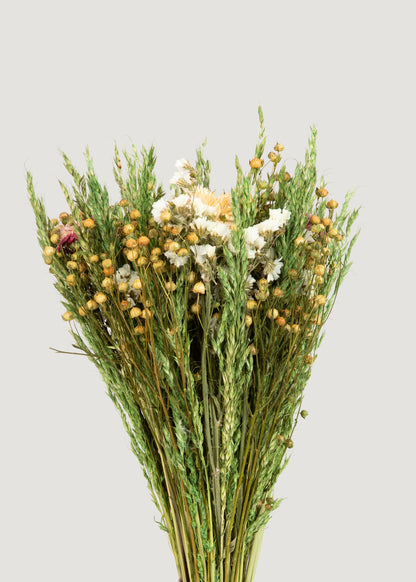 Mixed Flax and Strawflower Preserved Bundle