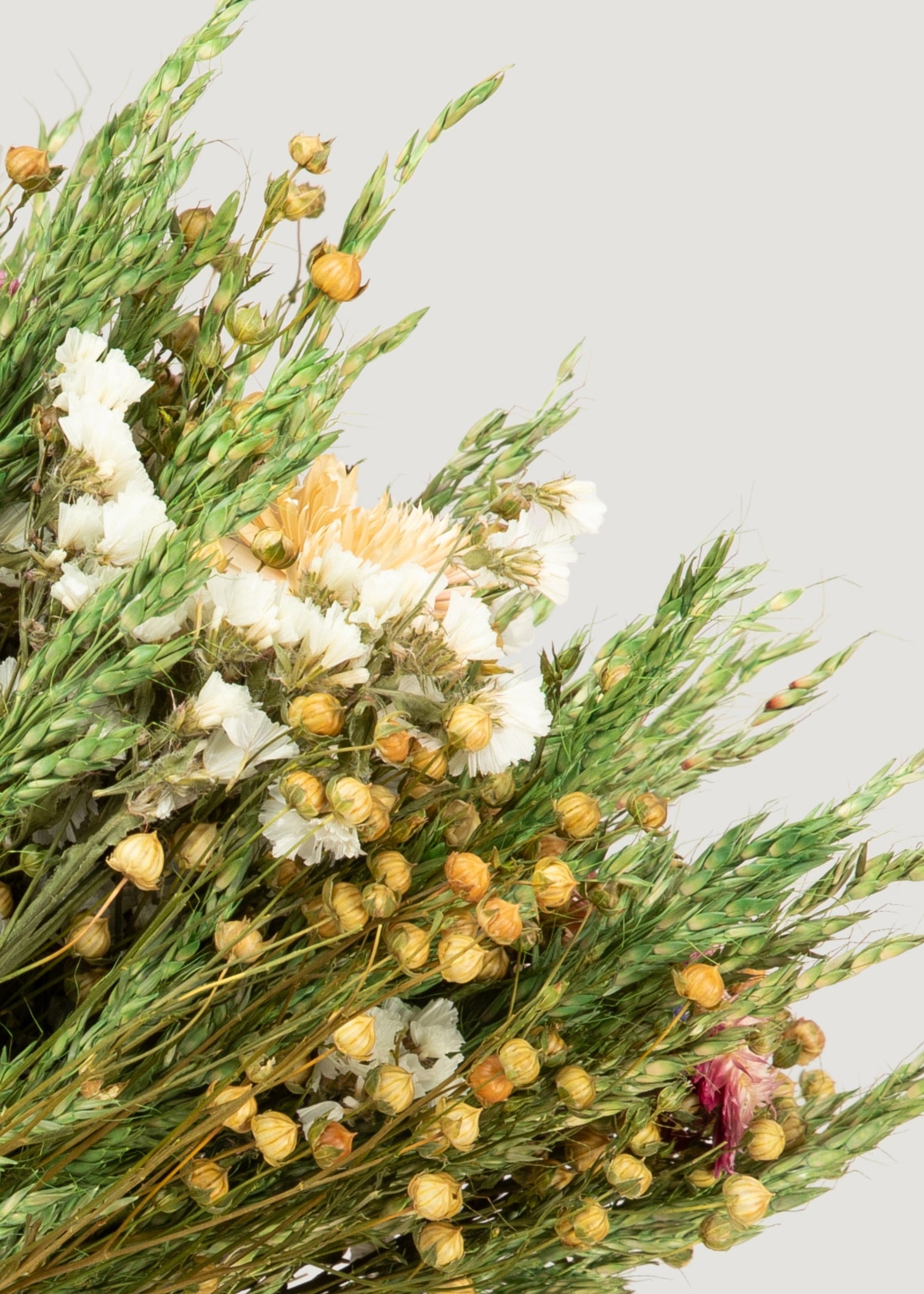 Bundle of Dried Flax and Fuchsia Strawflowers