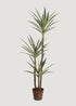 Fake Yucca Tree Potted Floor Plant 