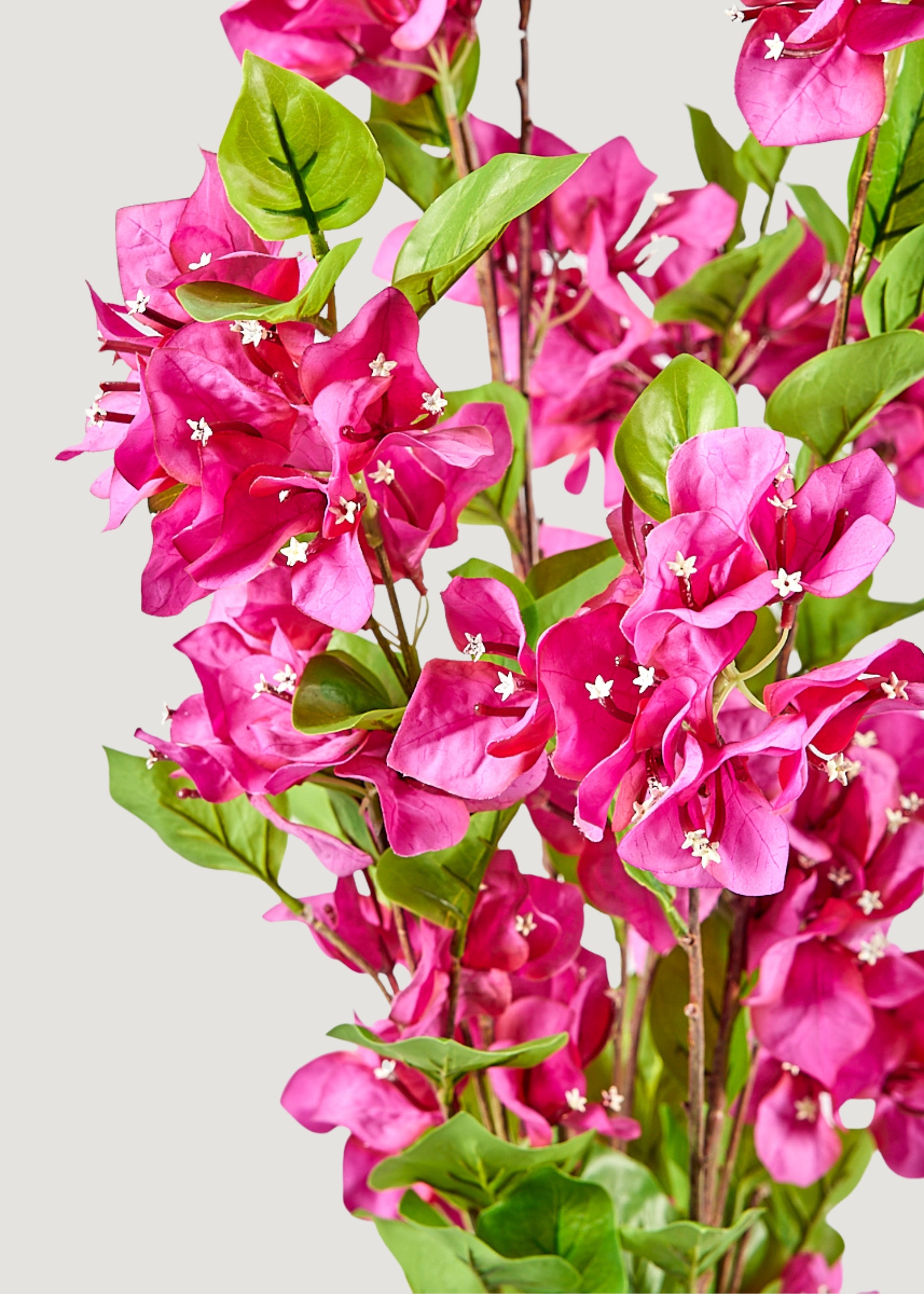 Close Up of Fuchsia Pink Faux Bougainvillea Bush