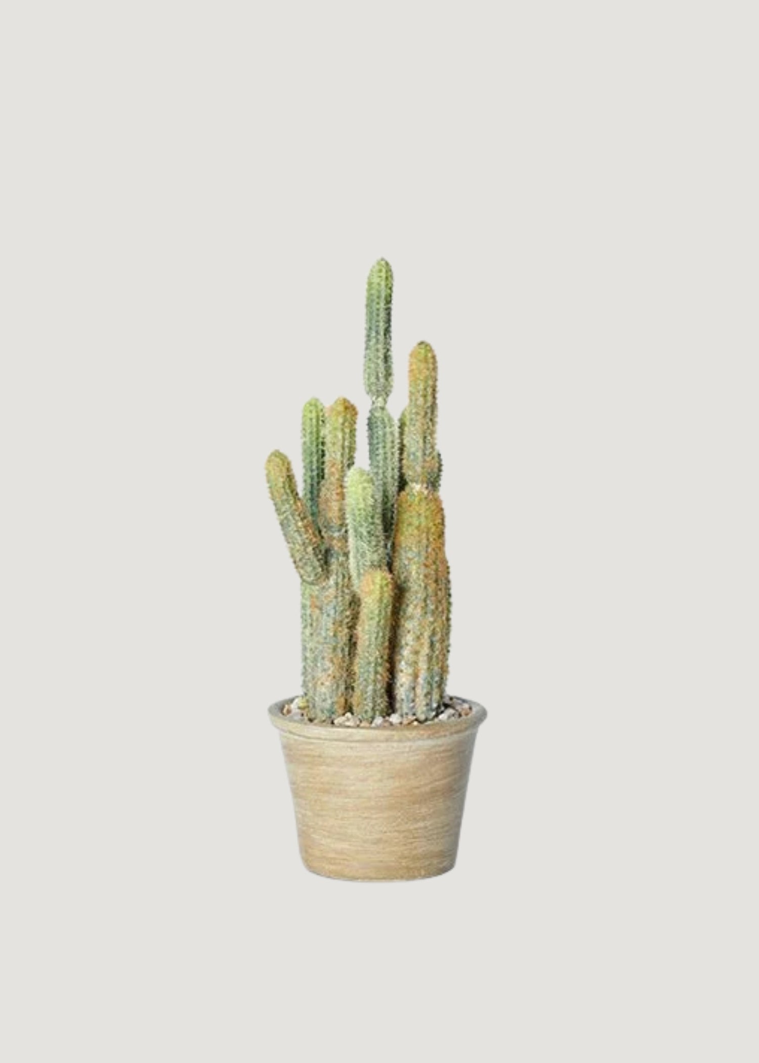 Small Faux Cactus Potted Plant 