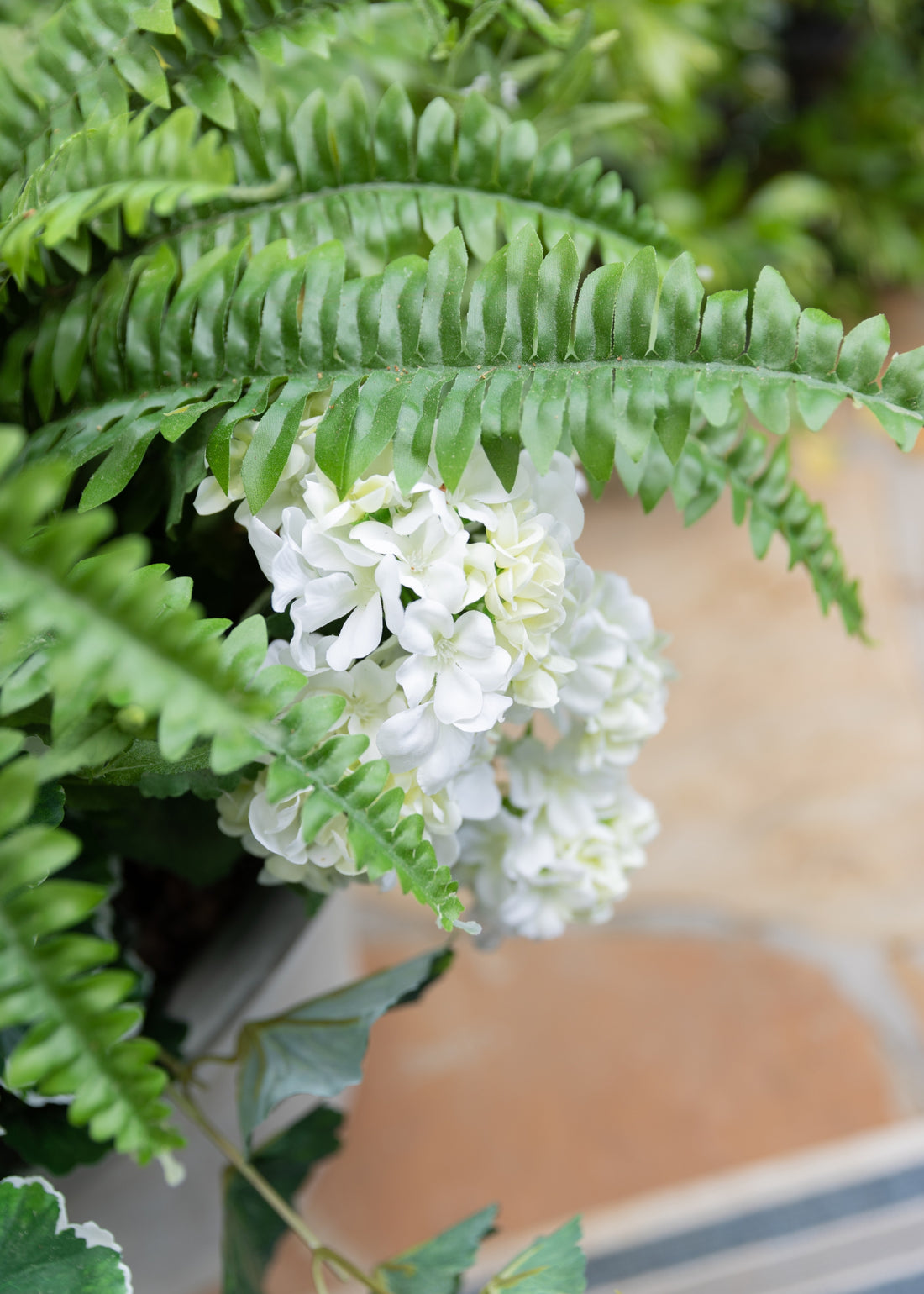 Fake Fern Close-up