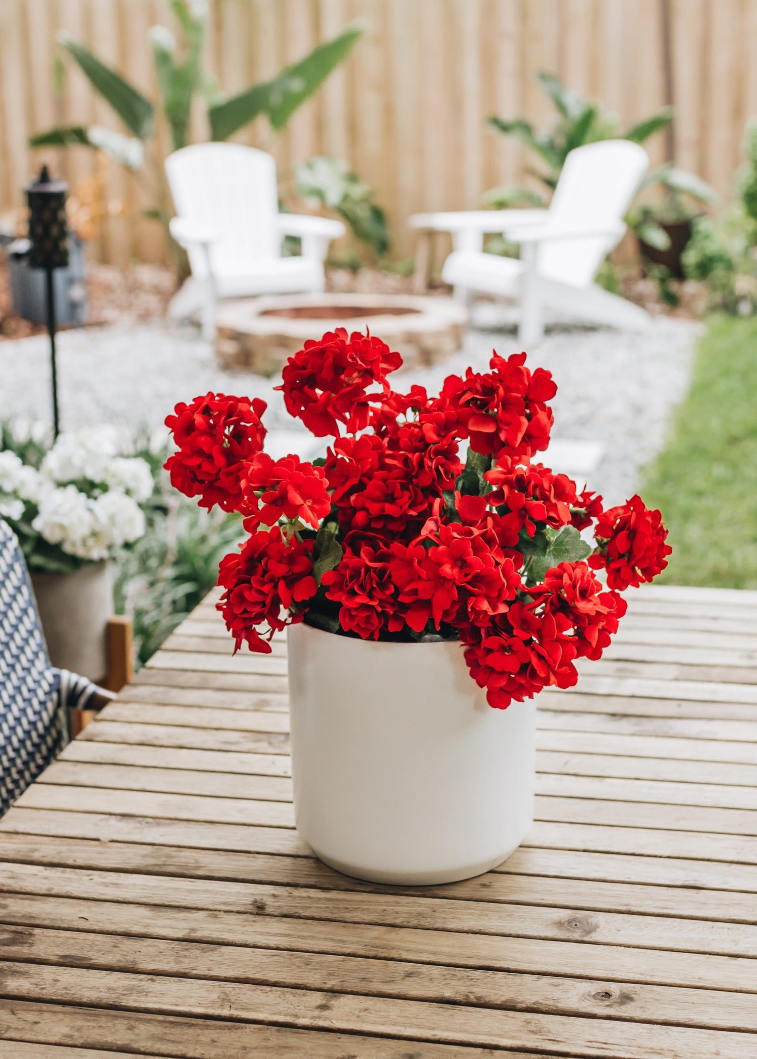 Fake Outdoor Geranium