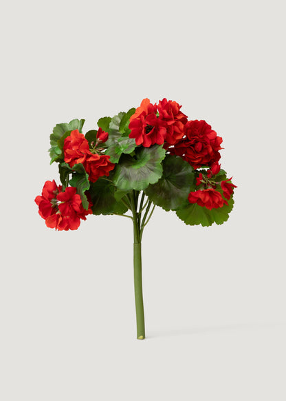 UV Resistant Red Geraniums