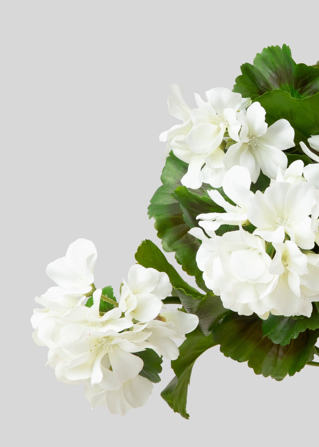 White Faux Geranium