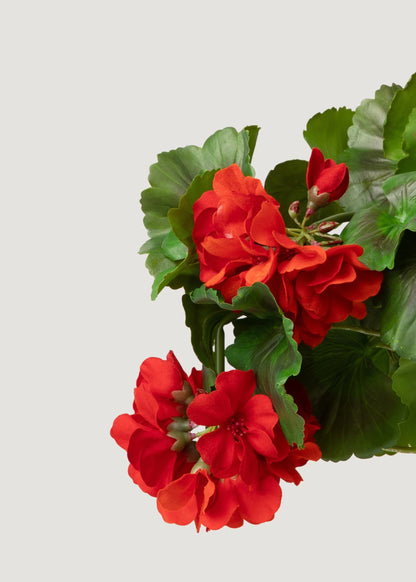 Red Fake Geranium Flowers