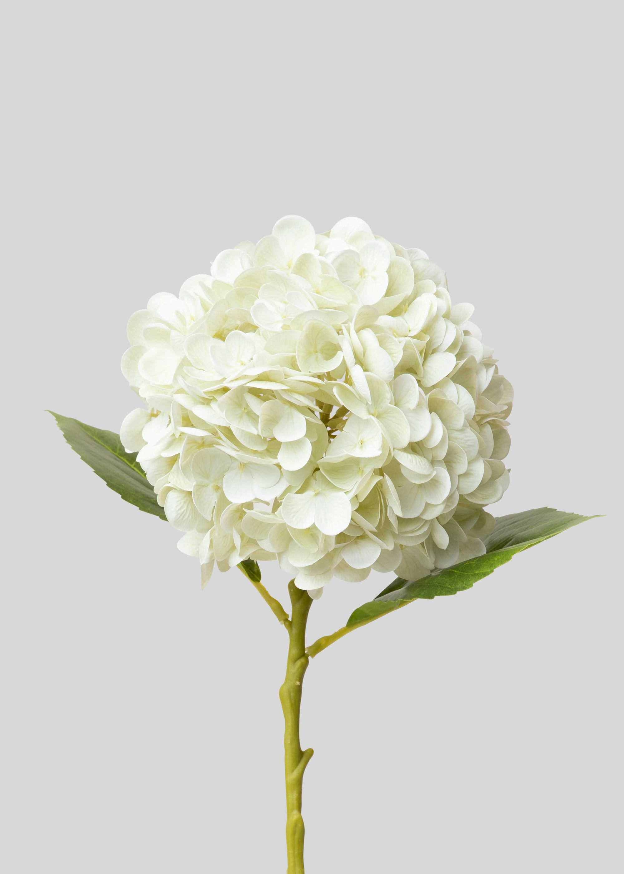 Cream White Hydrangea Real Touch Flower 