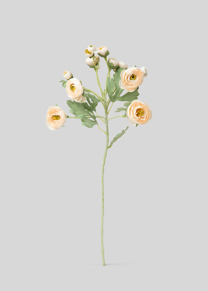 Artificial Blooming Ranunculus Flowers in Blush