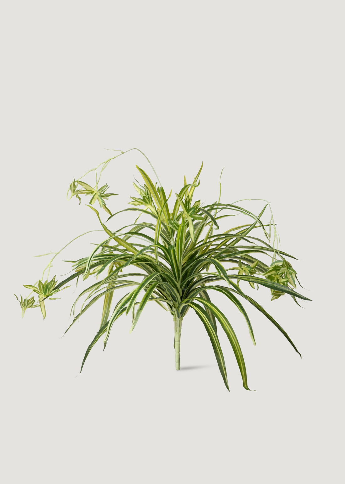 Natural Touch Fake Spider Plant 