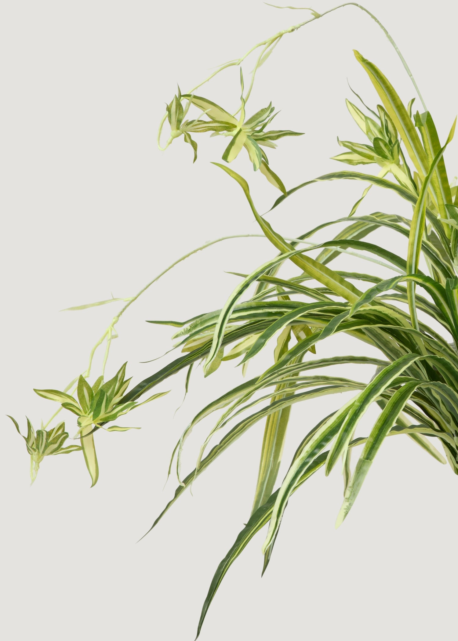 Artificial Spider Plant 