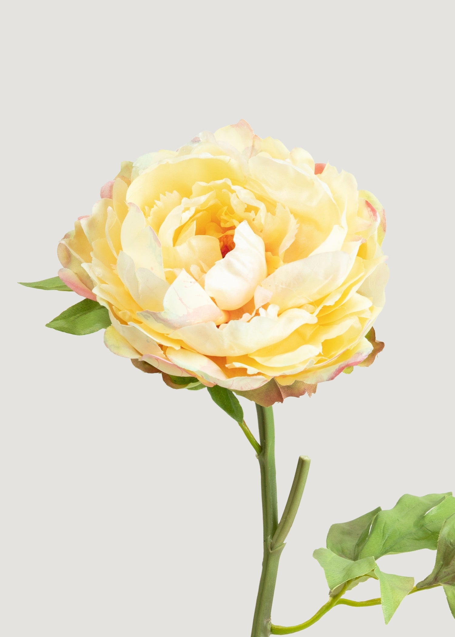 Yellow Real Touch Peony