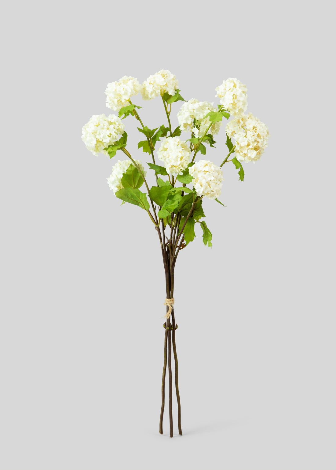 Snowball Flower Bundle