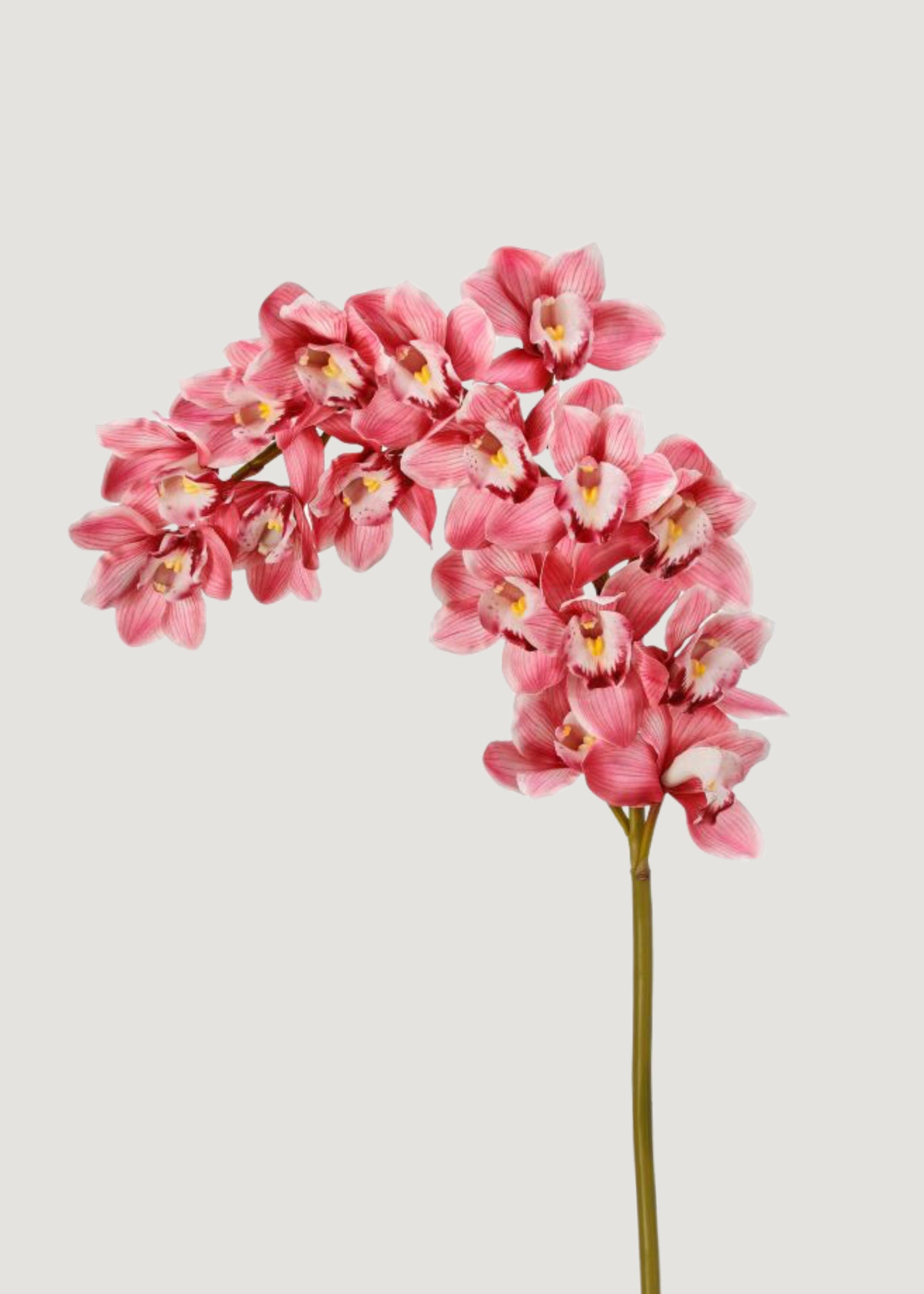 Pink Large Natural Touch Cymbidium Orchid