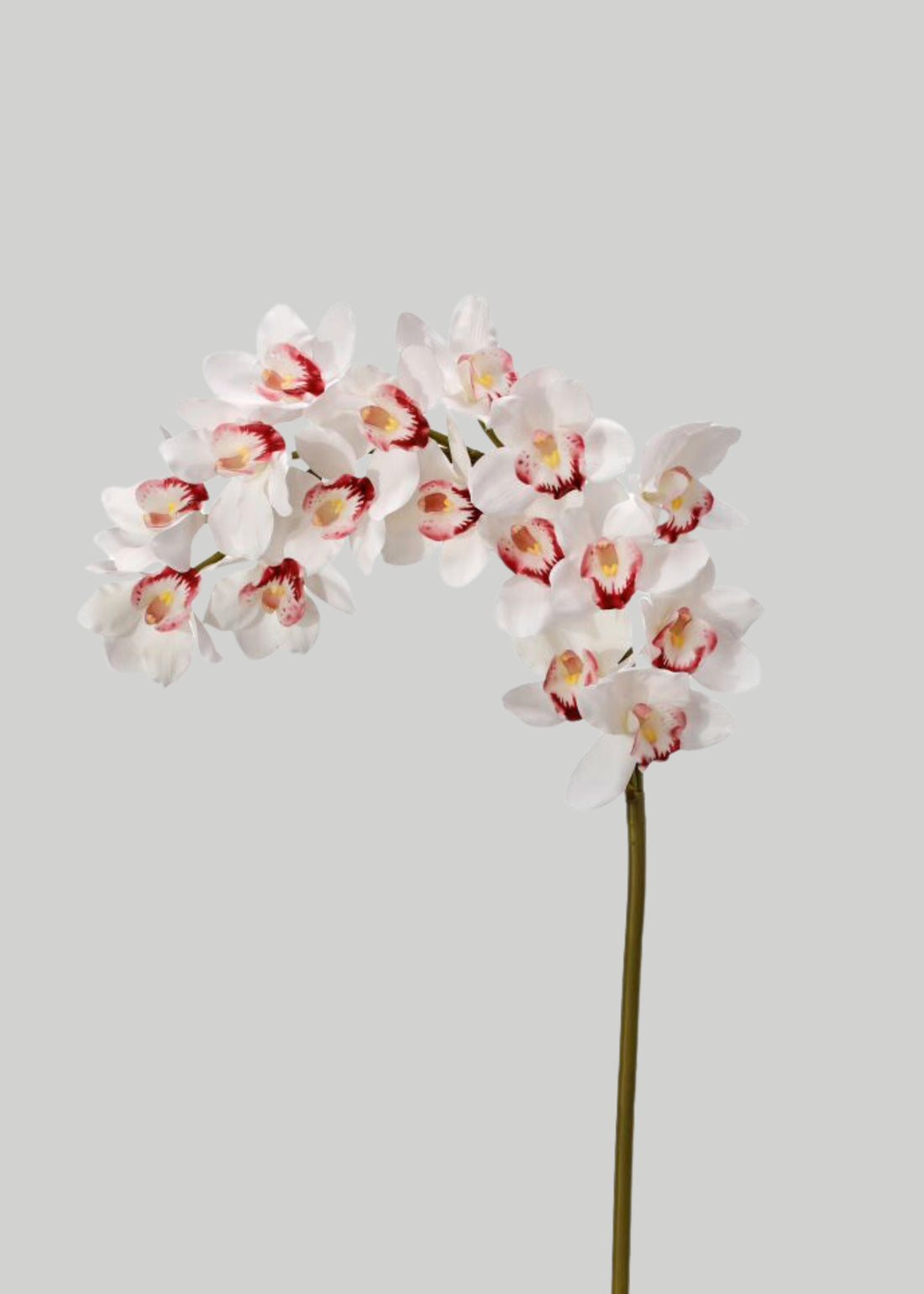 Large Natural Touch Cymbidium Orchid in White