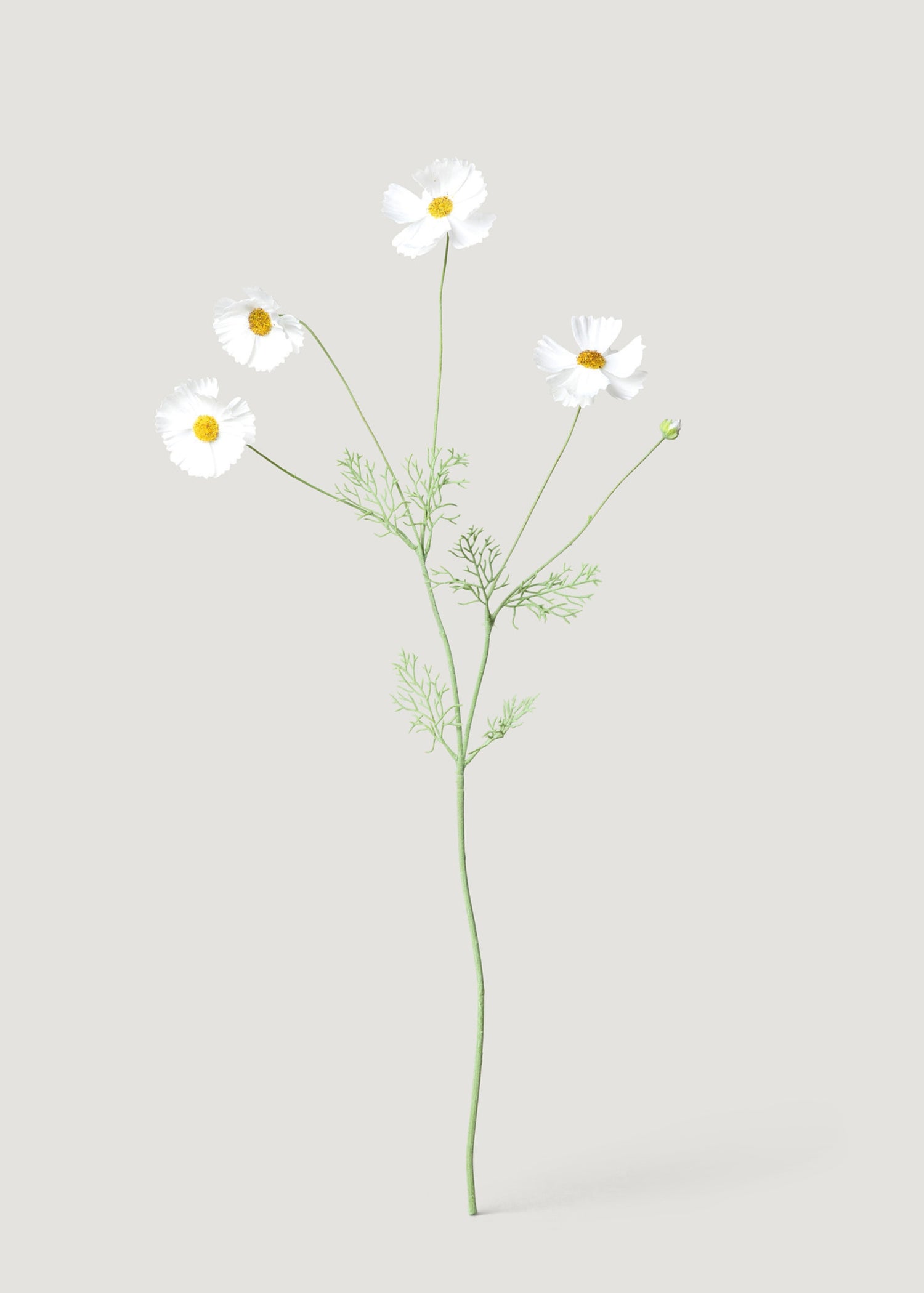 Faux Cosmos Daisies