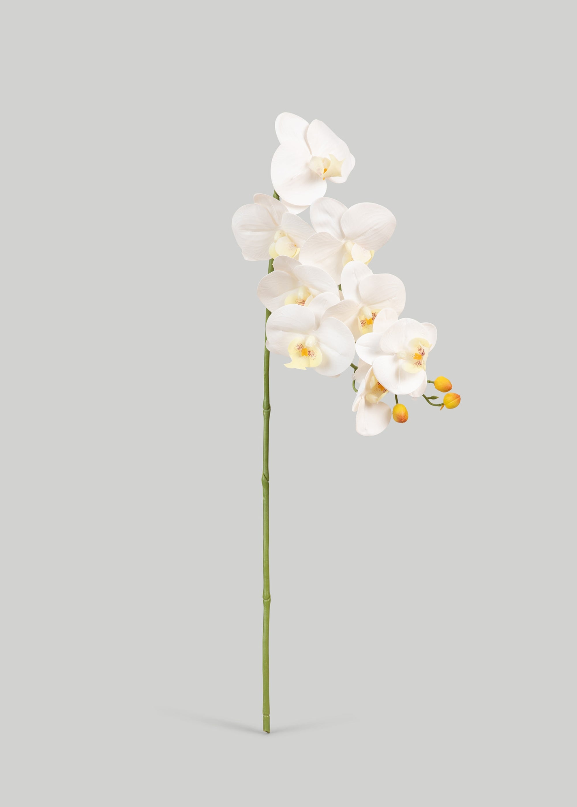 Faux Real Touch White Orchid