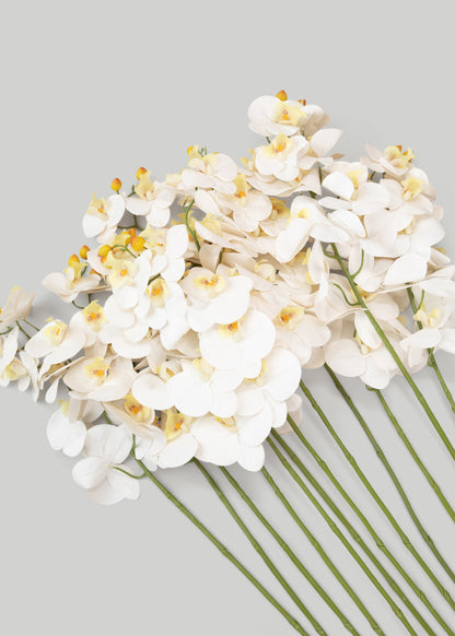 Case of Artificial White Orchids