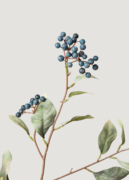 Blue Berries