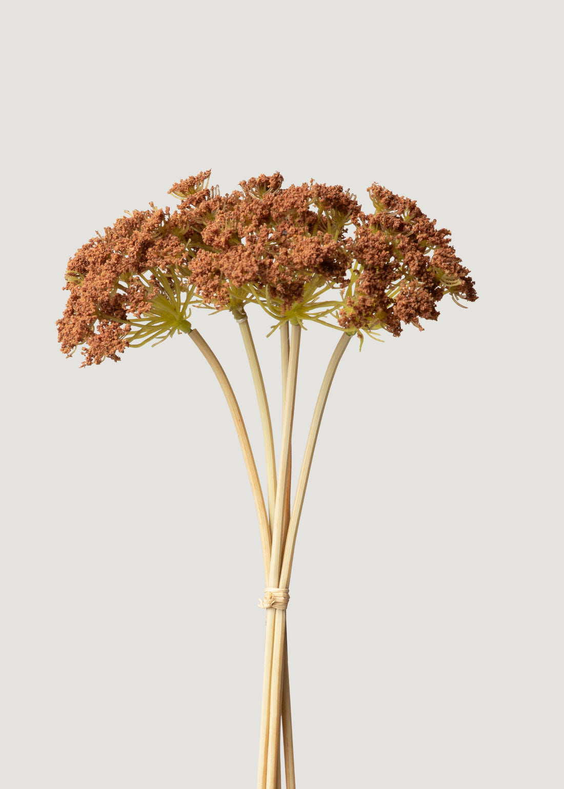 Bronze Brown Faux Yarrow Bundle 