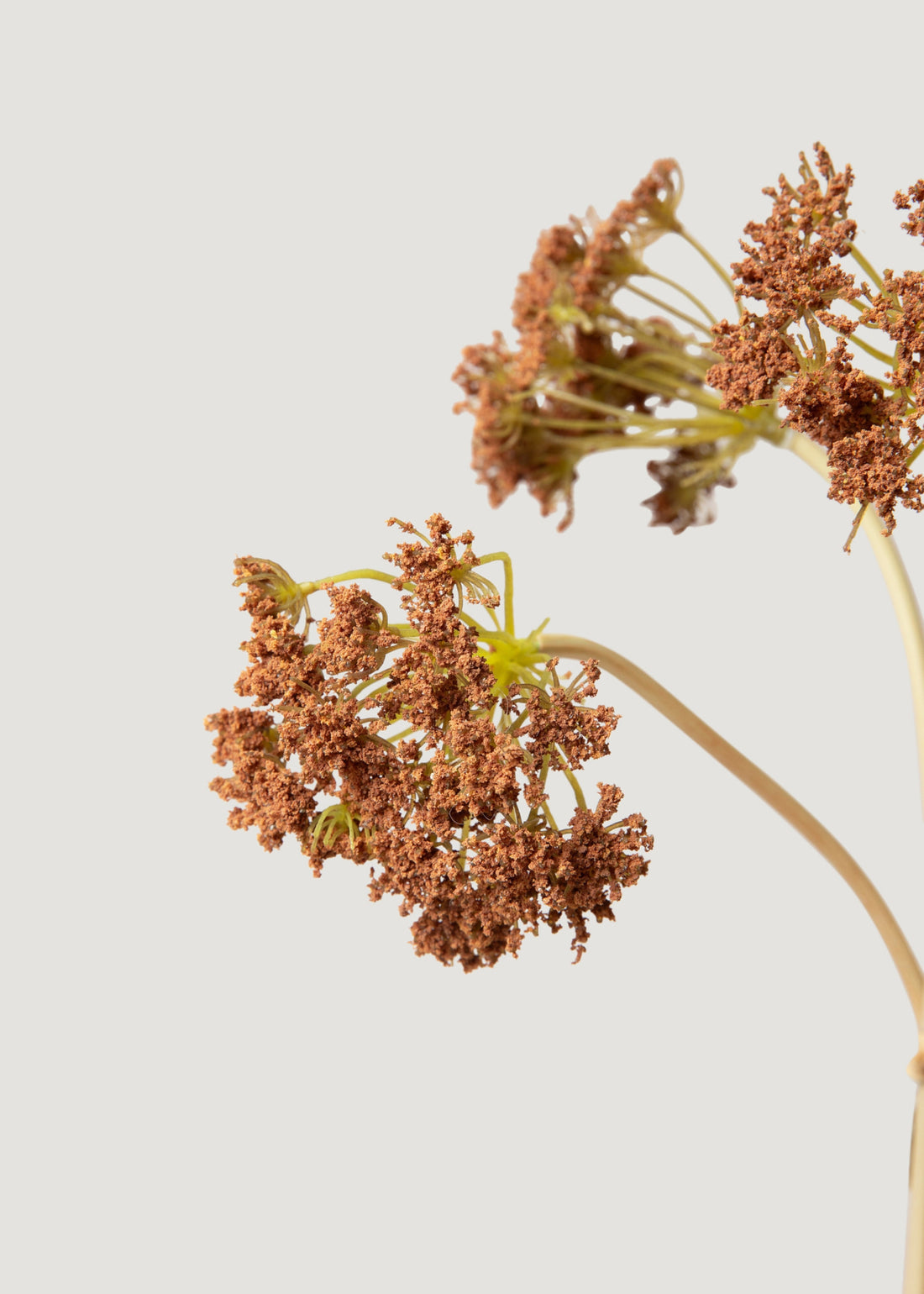 Artificial Brown Yarrow Bundle