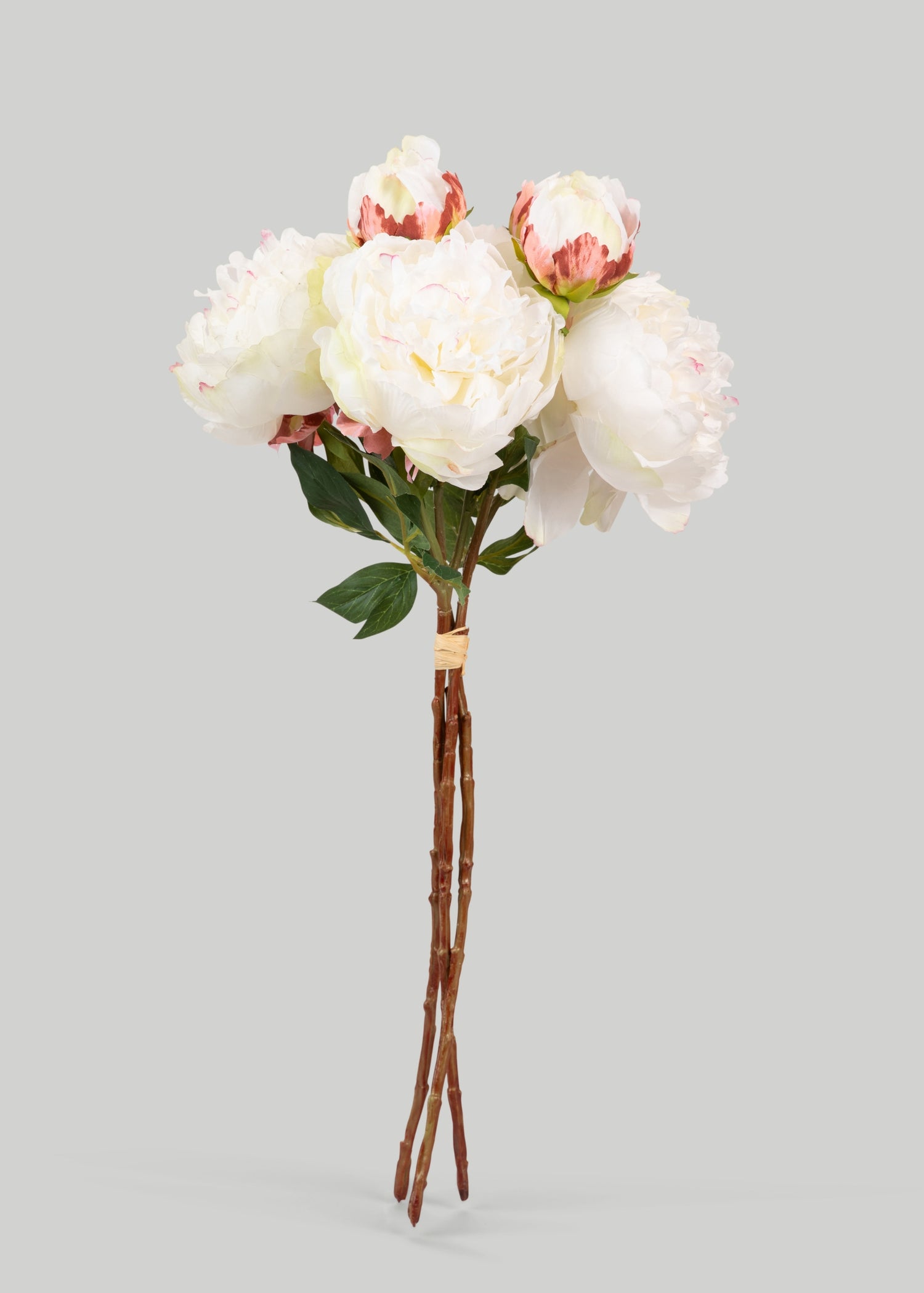 Artificial Cream Peony Bundle