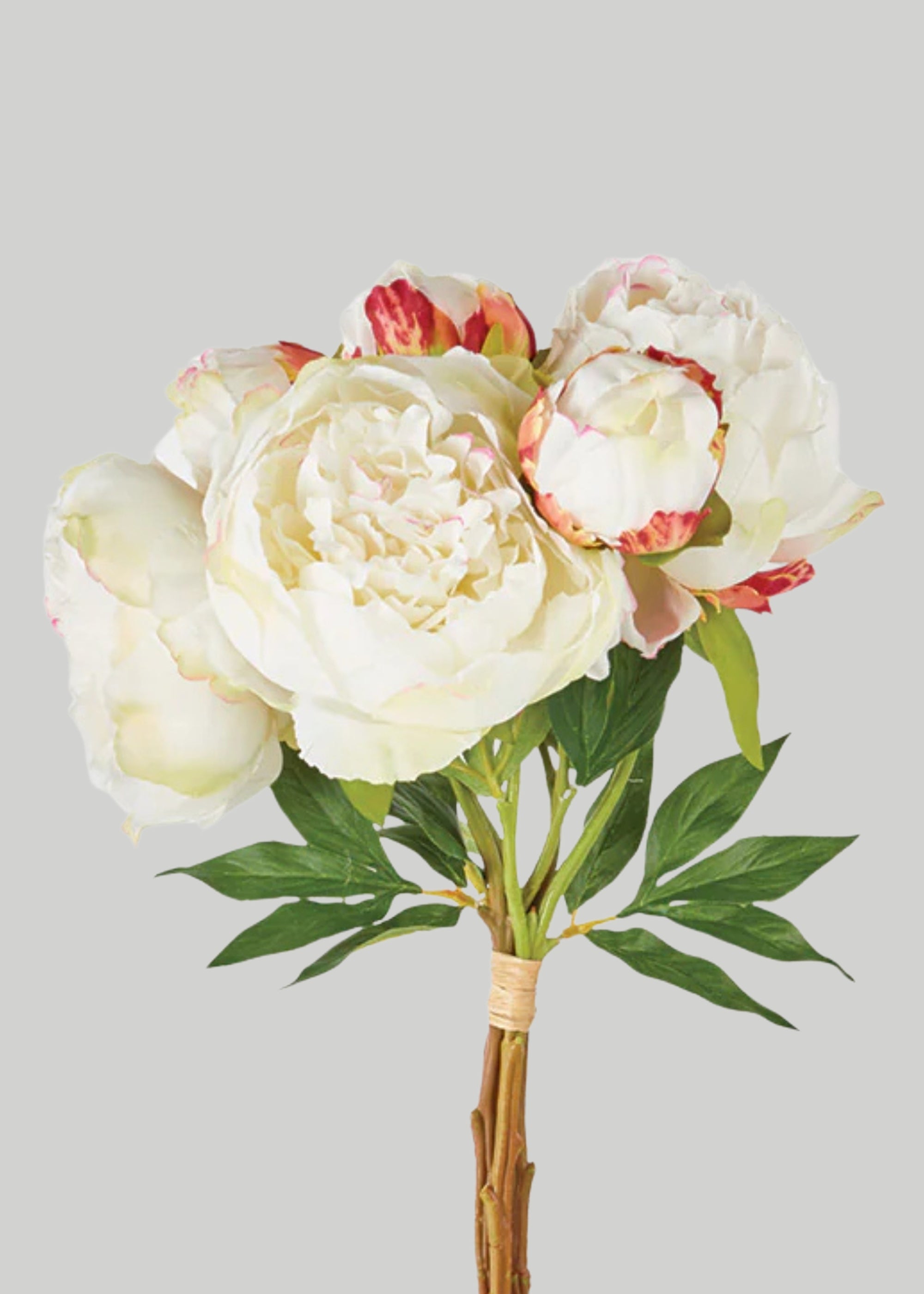 Cream Faux Peonies