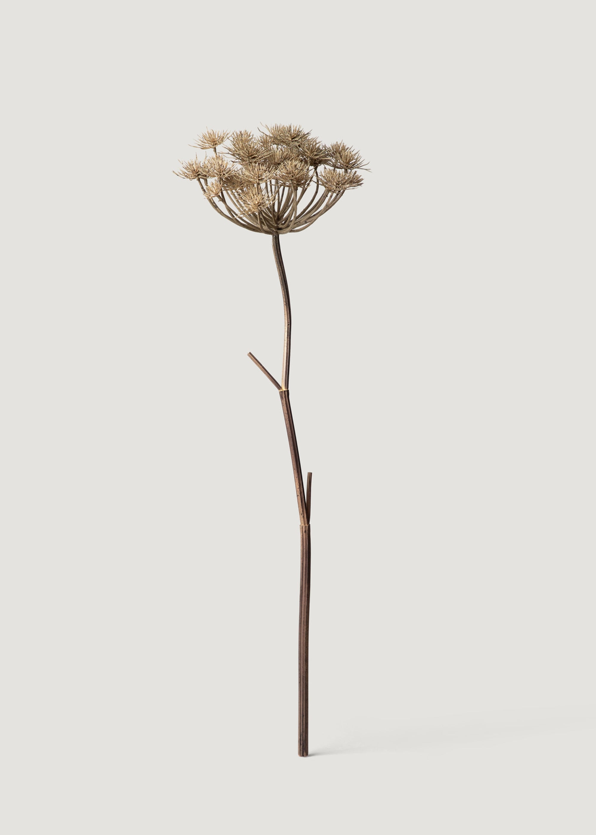 Brown Artificial Wild Angelica 