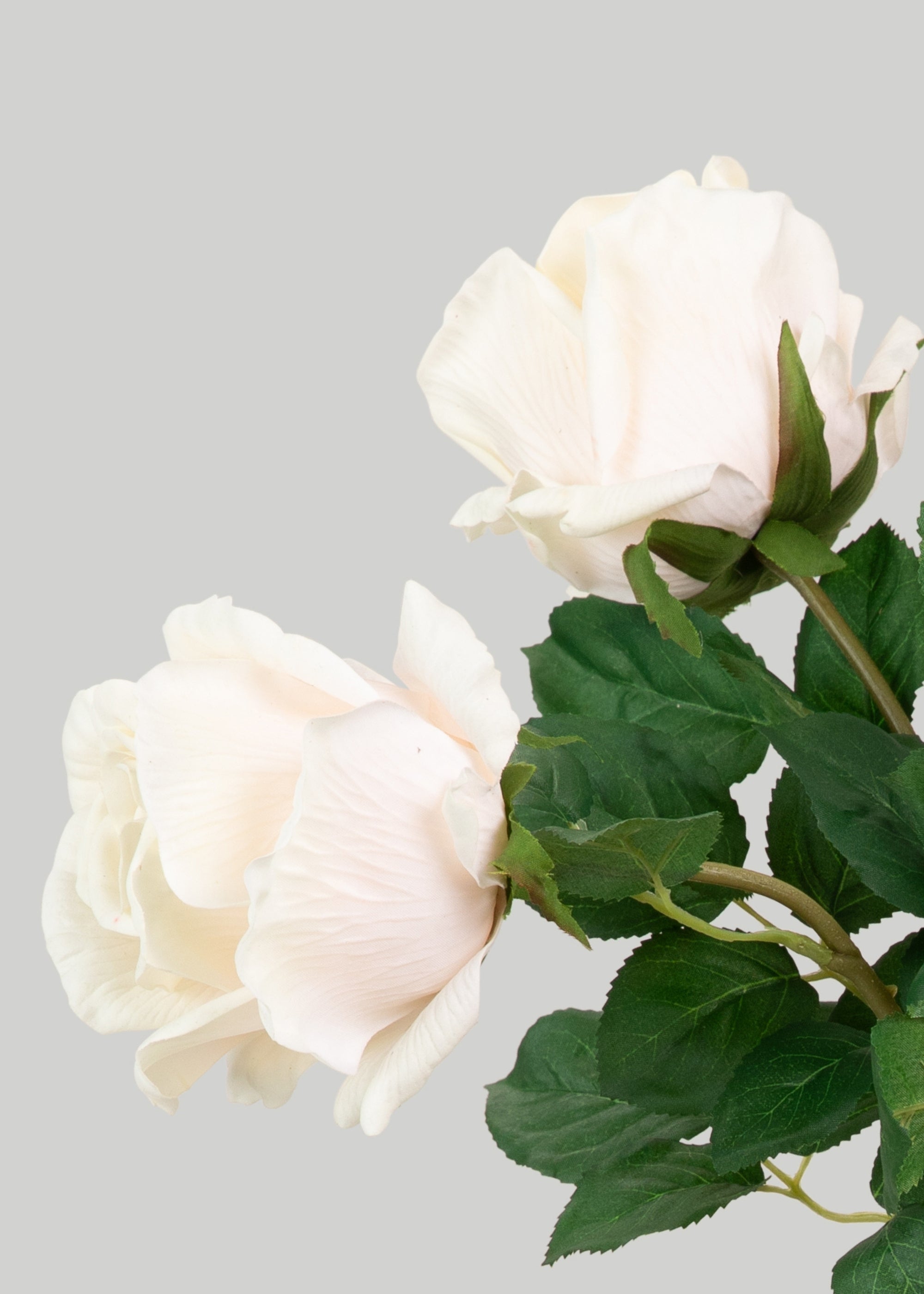 Real Touch Bundle of Cream Roses