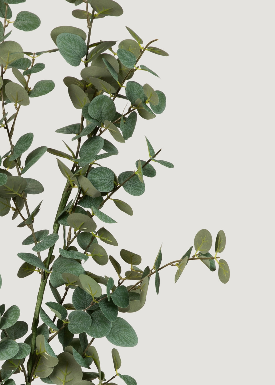 Faux Eucalyptus Branch 