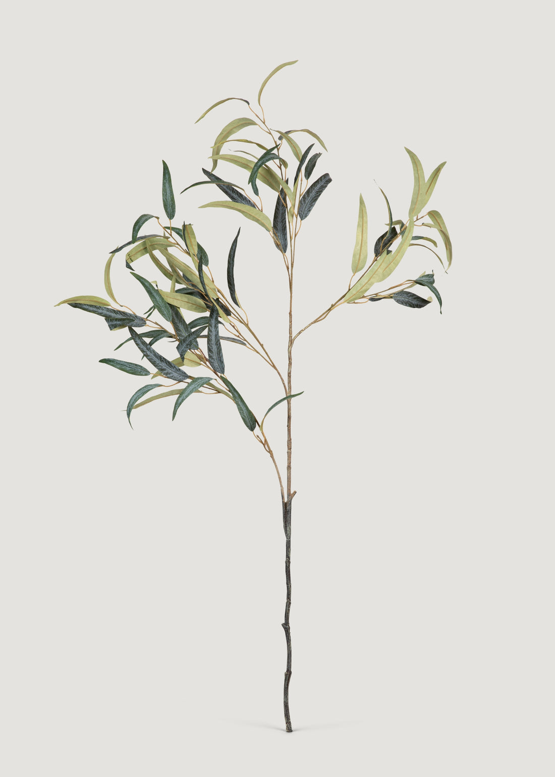 Tall Deluxe Willow Eucalyptus Branch