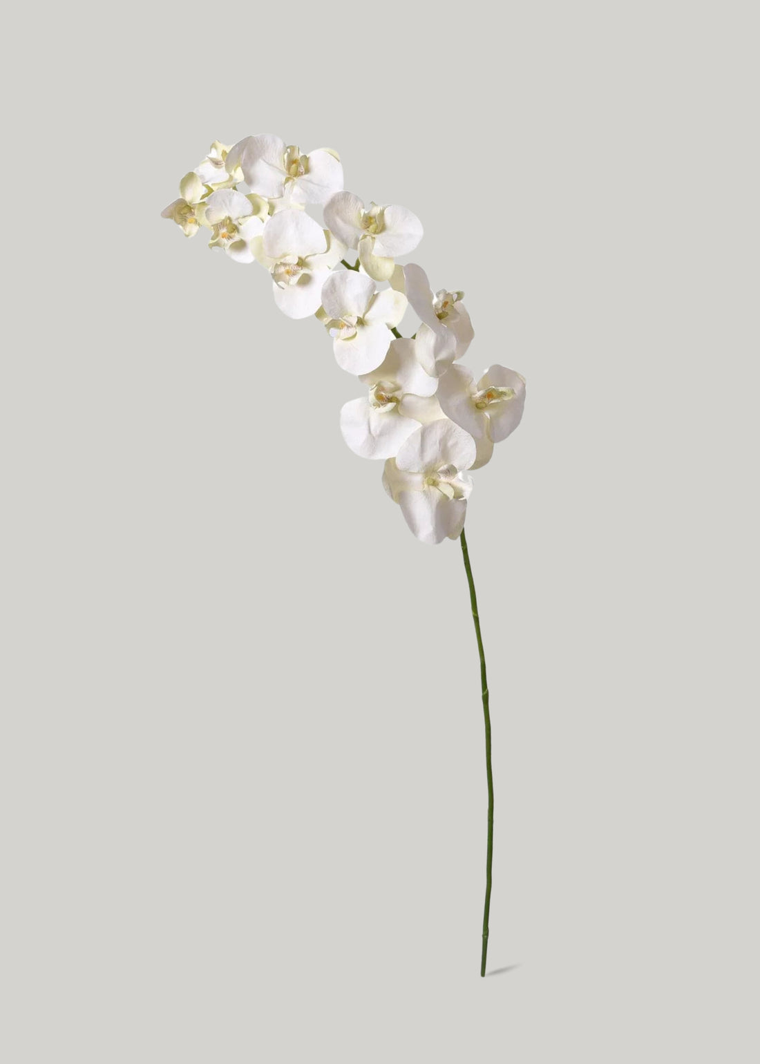 Artificial Phalaenopsis Orchid