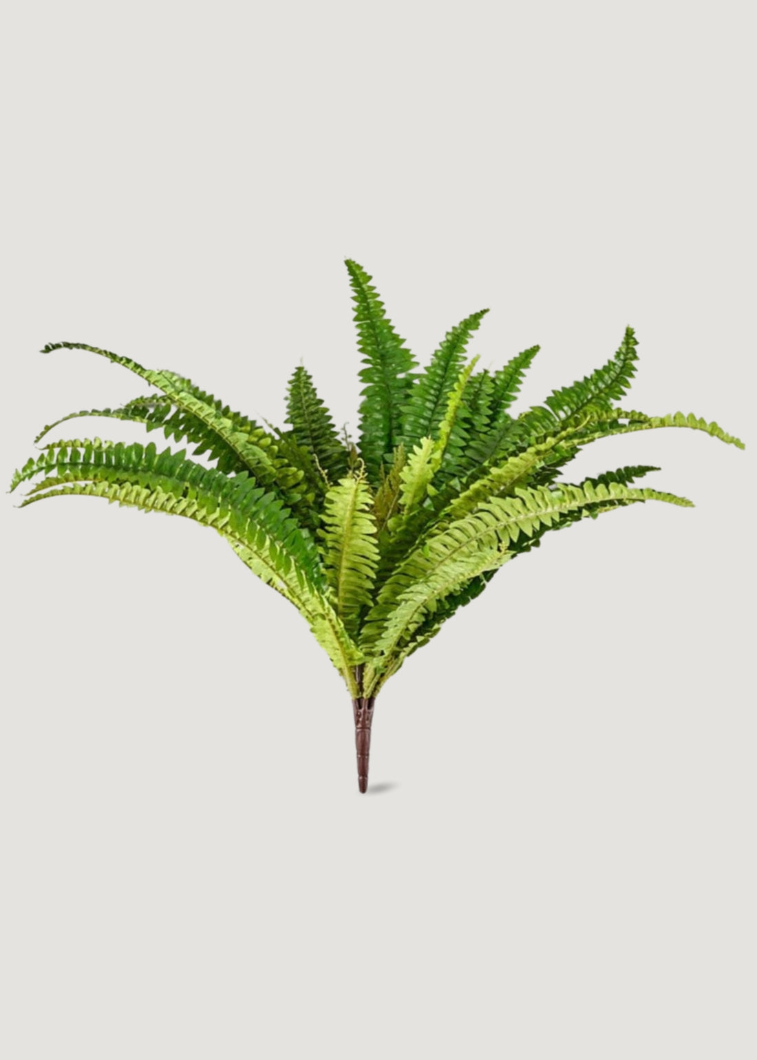 Faux Outdoor Plants UV Protected Boston Fern Bush at Afloral