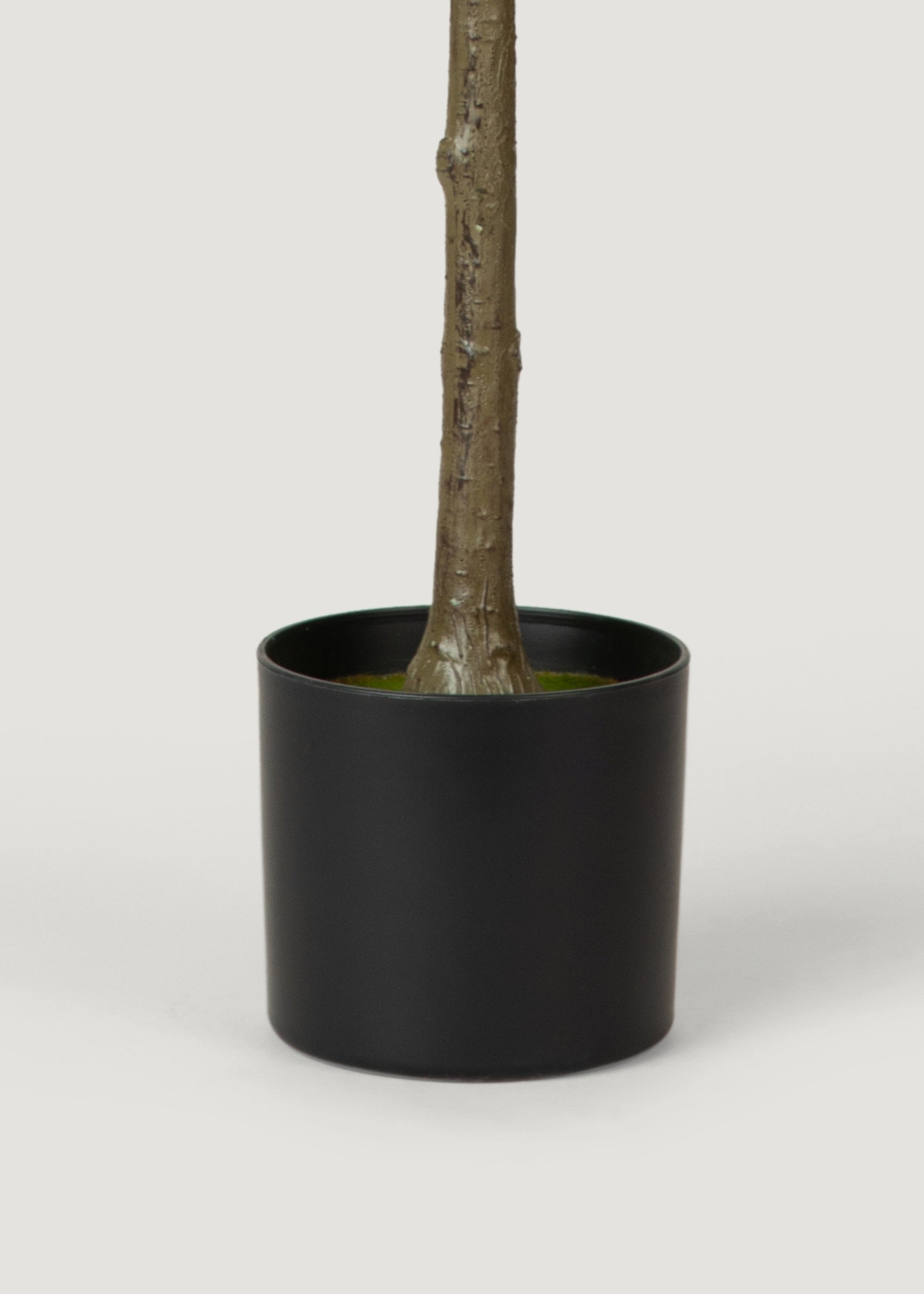 Olive Tree Faux Potted Plant 