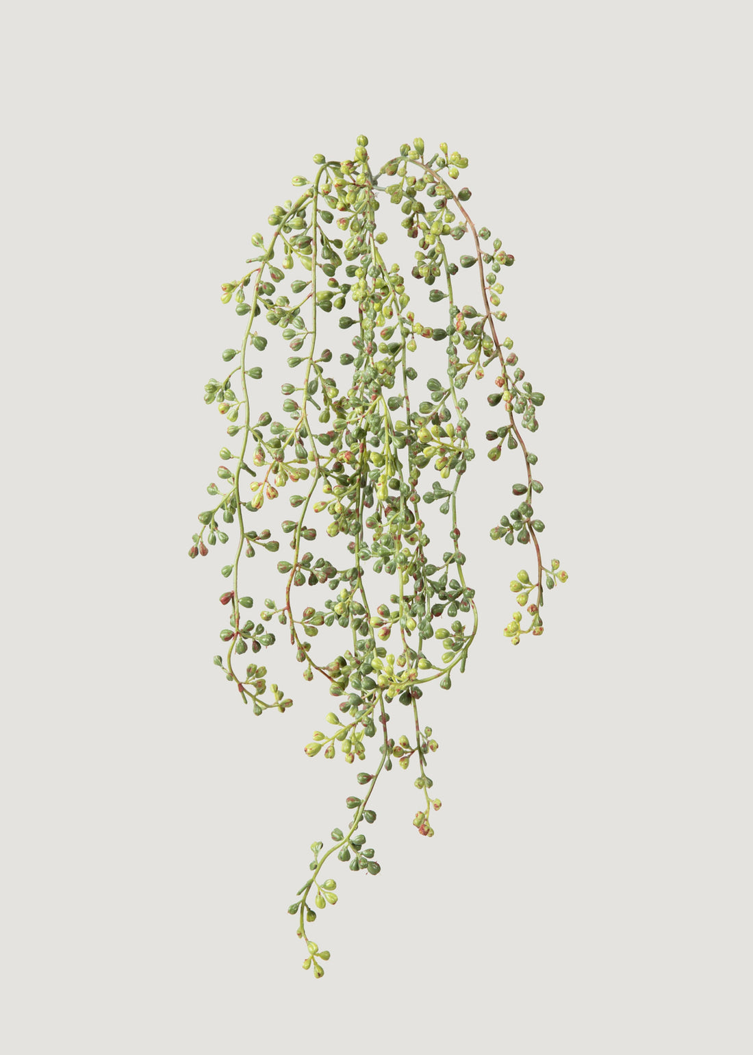 Faux Hanging String of Pearls Succulent Bush