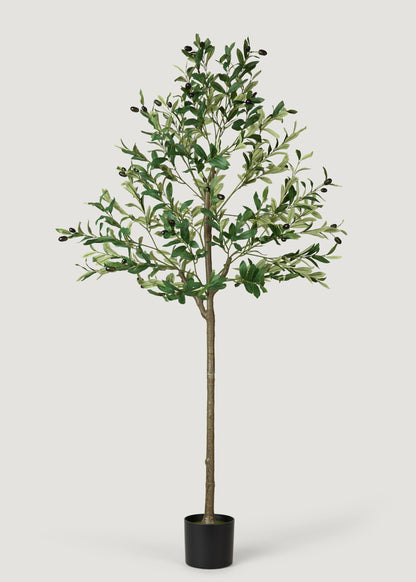 Deluxe Olive Tree Faux Potted Plant 