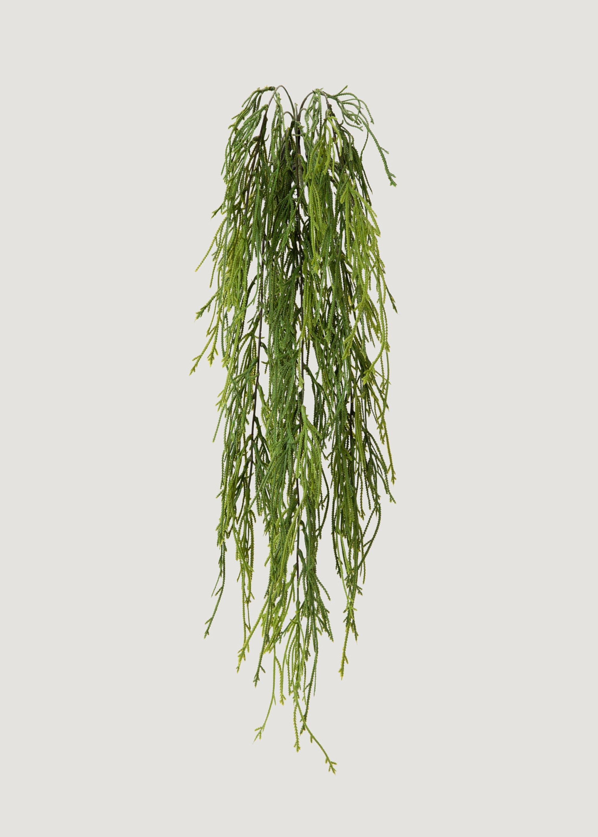 Hanging Artificial Moss Fern