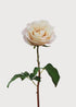 Faux Blooming Real Touch Rose in Cream White