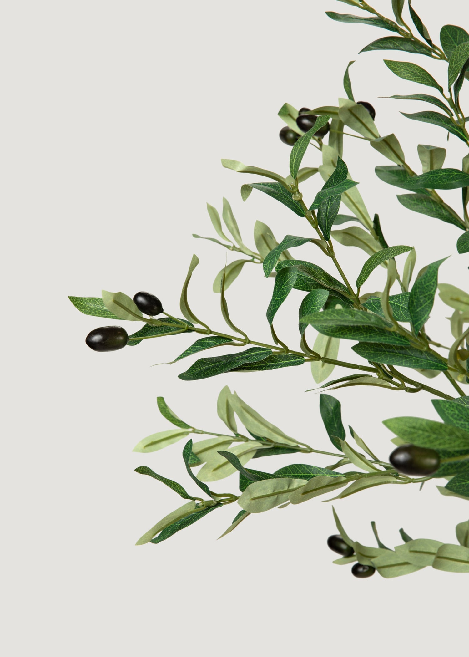 Faux Olive Tree 