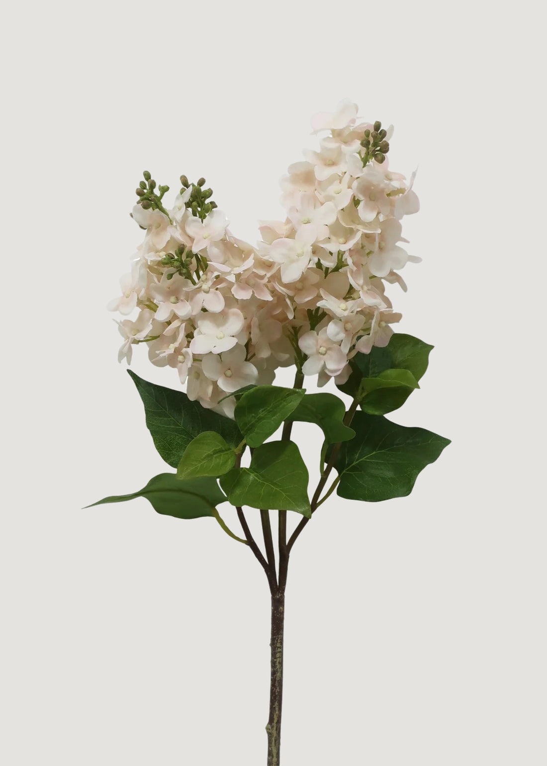 Cream Faux Real Touch Lilac Blooming Branch