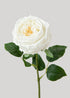 Real Touch Austin Cabbage Rose in White 